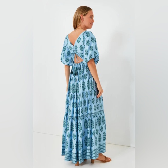 NEW Tuckernuck OMIKA Adia Baltic Ila Maxi Dress Medium - Picture 14 of 16